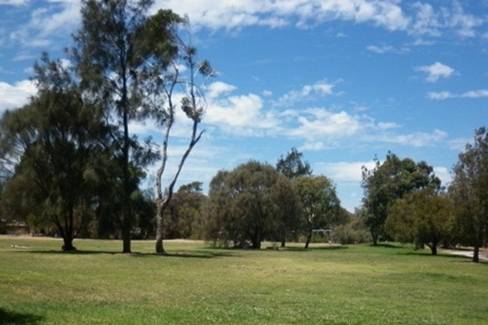 The grassy park area at Gasworks Arts Park, also a dog park