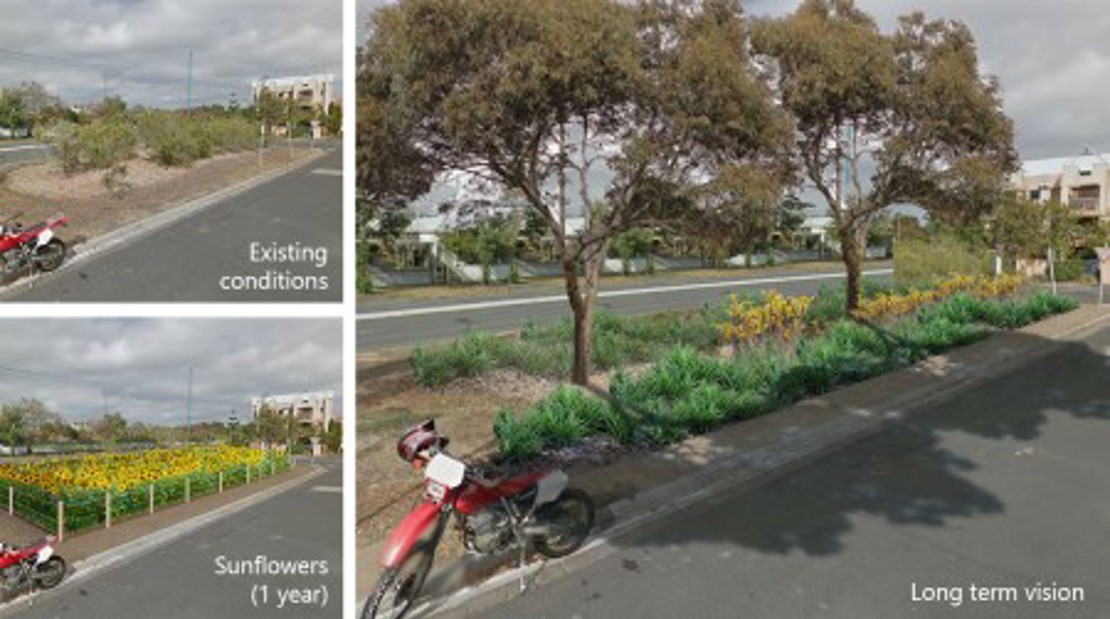 Three images anti clockwise from top left include the existing condition of Cruikshank Reserve with bushes, the Reserve filled with sunflowers one year on and the final long term plan with two established trees and smaller plantings