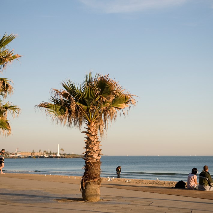 Couple sitting near palm trees and watching the sun setting on St Kilda Promenade with St Kilda marina in the distance 