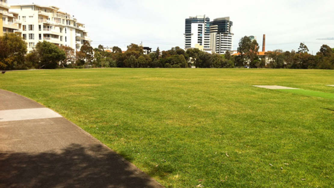 Sports ground at Lagoon Reserve with cricket wicket 