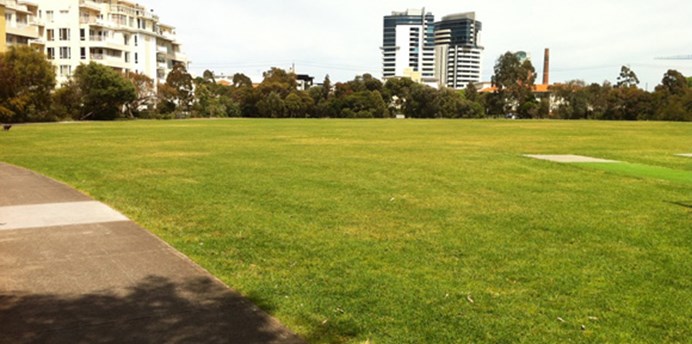 Sports ground at Lagoon Reserve with cricket wicket 