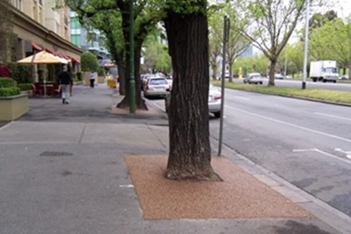 Porous paving surrounding tree on St Kilda Road