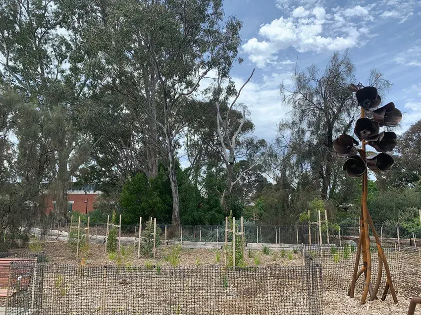 A landscaped outdoor area with young plants in mulched garden beds surrounded by mesh fencing. Tall eucalyptus trees and other native vegetation fill the background under a partly cloudy sky. On the right, a striking sculpture made of tall wooden poles topped with multiple large, dark metal pods creates a focal point. A red brick building is partially visible behind the trees.