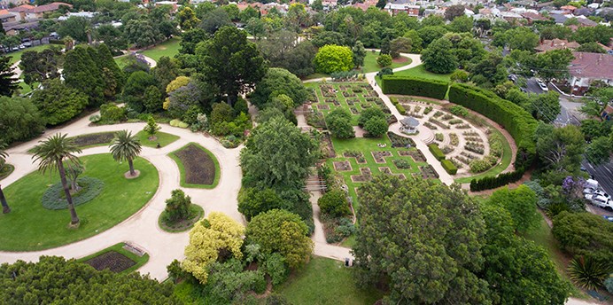 Aerial view of the ornamental rose garden and other garden beds at the St Kilda Botanical Gardens