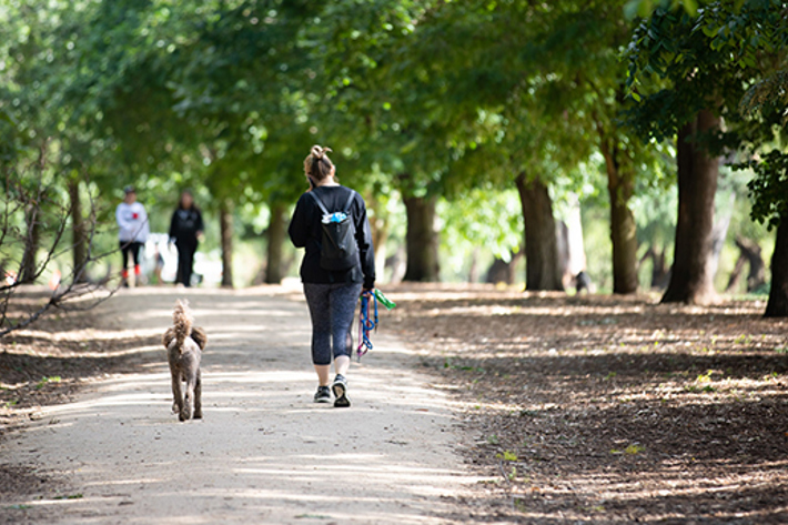 A woman walking a dog on a trail in Alma Park, St Kilda East.