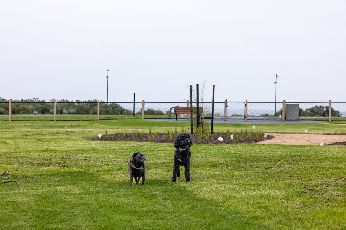 Dog offleash guidelines City of Port Phillip