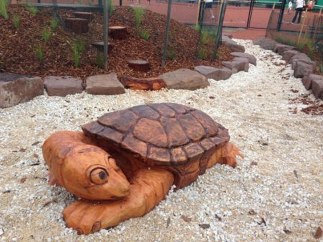 Wood carved turtle at Morris Reserve