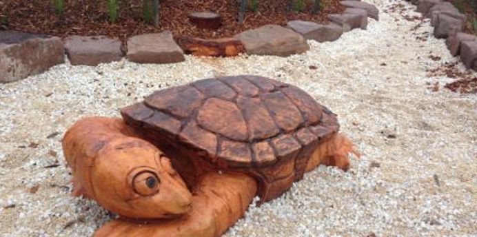 Wood carved turtle at Morris Reserve