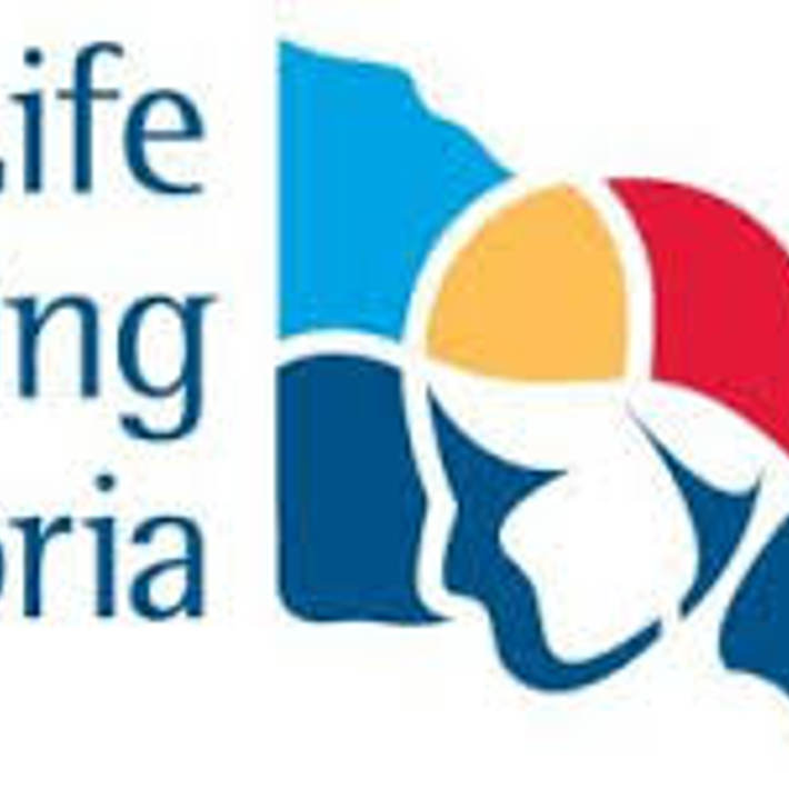 Life Saving Victoria logo