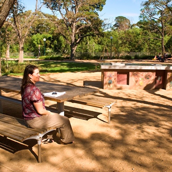 BBQ facilities and a table with seating available for use at Alma Park