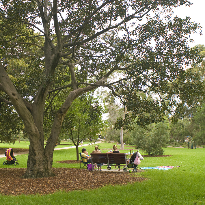 Find mature trees, seating and lush lawns in the St Kilda Botanical Gardens