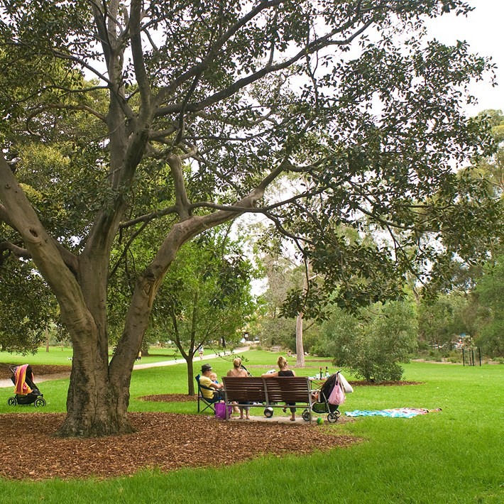 Find mature trees, seating and lush lawns in the St Kilda Botanical Gardens 
