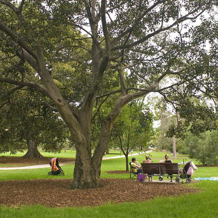 Find mature trees, seating and lush lawns in the St Kilda Botanical Gardens 