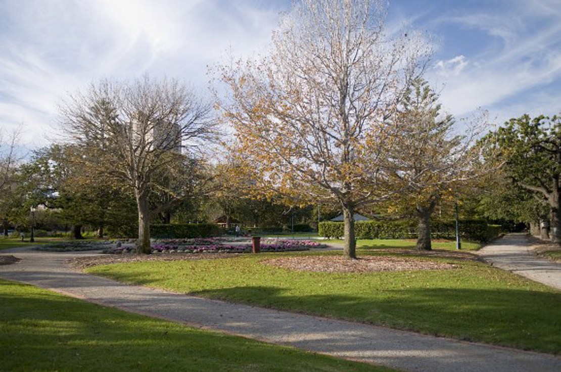 St Vincent Gardens is accessible by gravel paths and features mature trees, garden beds and turf areas