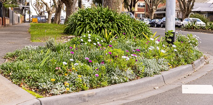 A garden bed growing flowers and other shrubs in a nature strip by the side of the road