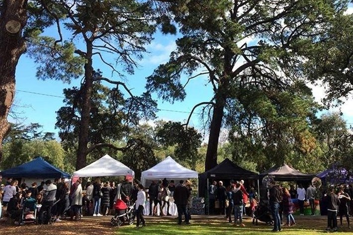 Busy market stalls surrounded by tall trees in Alma Park at Hank Marvin Market 
