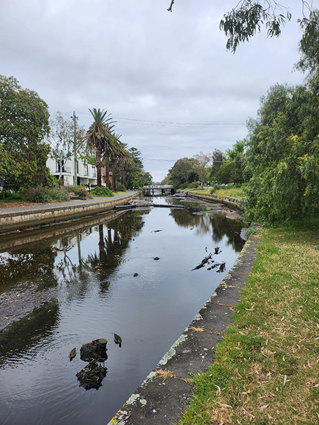 Photo of Elster Creek on a cloudy day