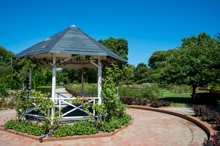 Rotunda covered in pink rose vines in the rose garden at the St Kilda Botanical Gardens