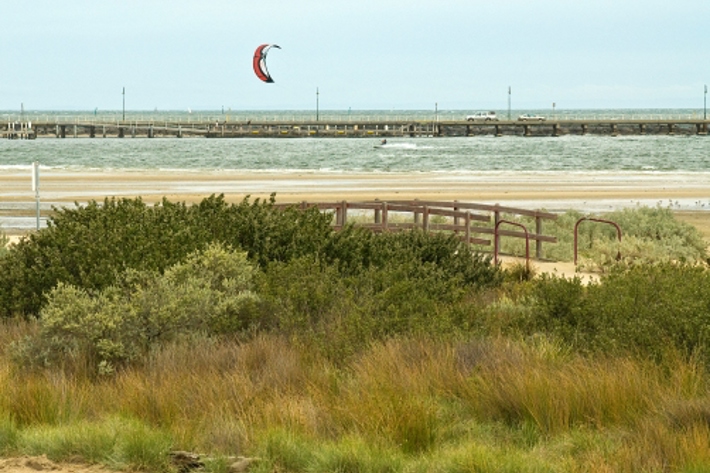 West Beach native vegetation with the sand and bay in the distance