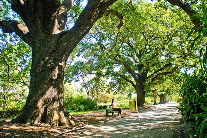 On a sunny day a woman sitting on a bench found along the gravel path in St Vincent Gardens shaded by trees