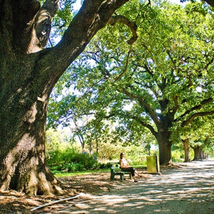 On a sunny day a woman sitting on a bench found along the gravel path in St Vincent Gardens shaded by trees