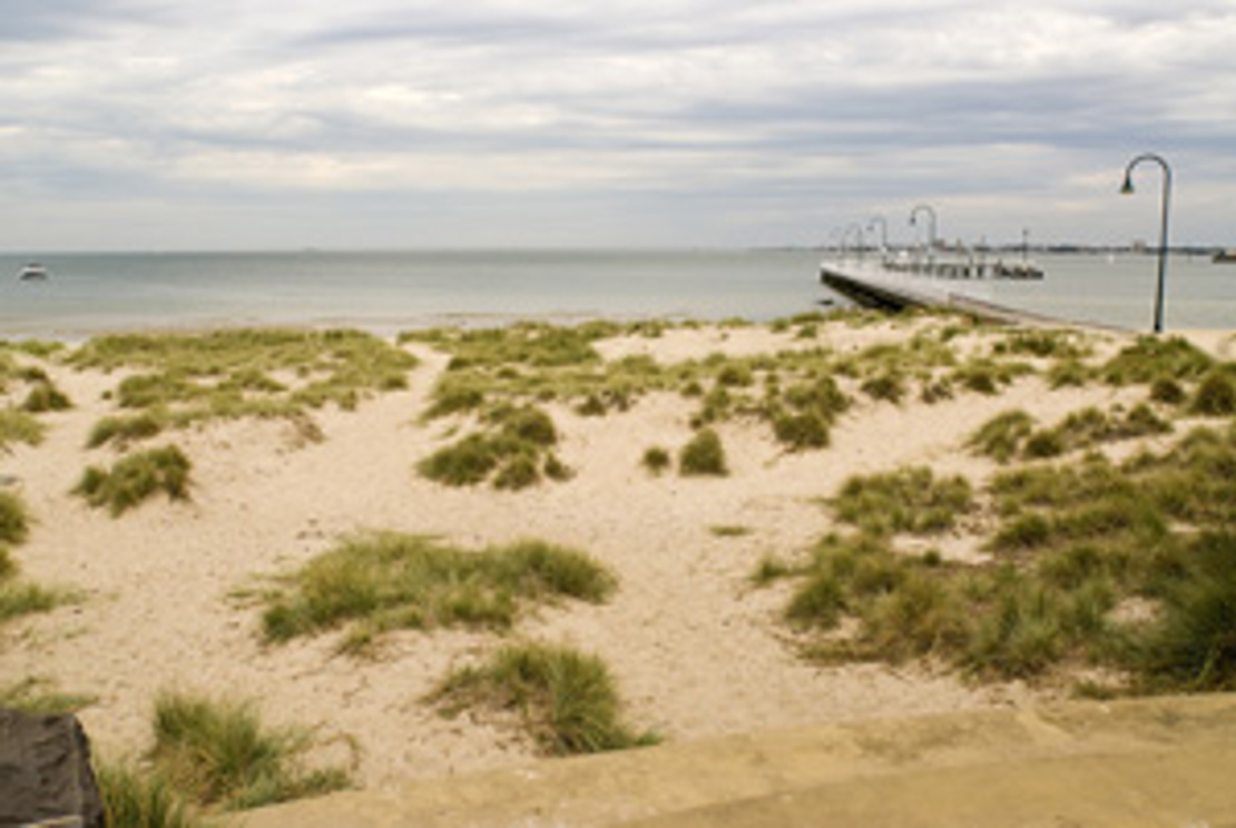 Pedestrian impact showing intermittent native dune grass cover near Lagoon Pier in 2010